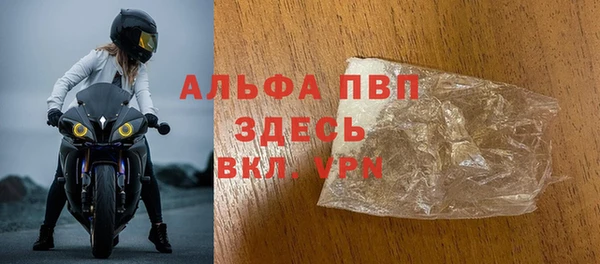 ГАЛЛЮЦИНОГЕННЫЕ ГРИБЫ Белокуриха