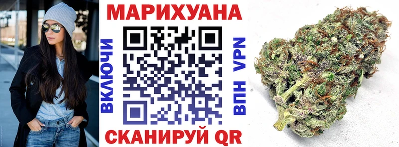 Купить где  Павлово  Каннабис индика 